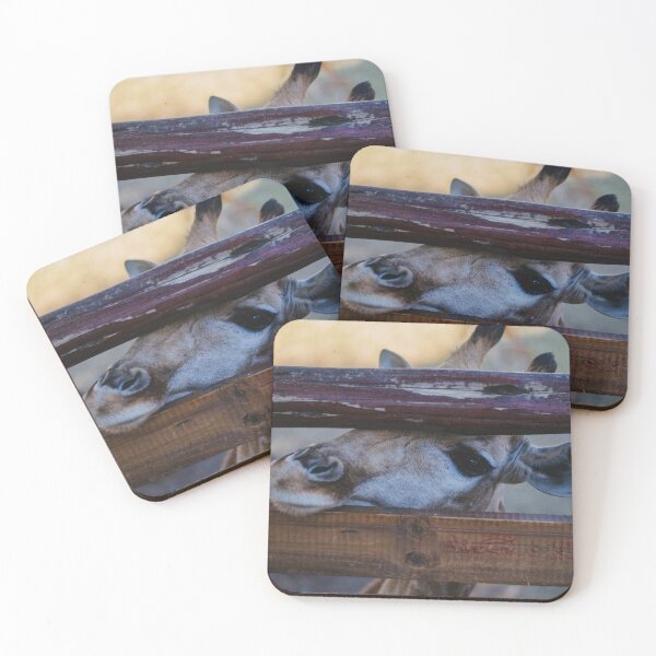 Item preview, A shy giraffe looking at the camera designed and sold by Carmen Jost.