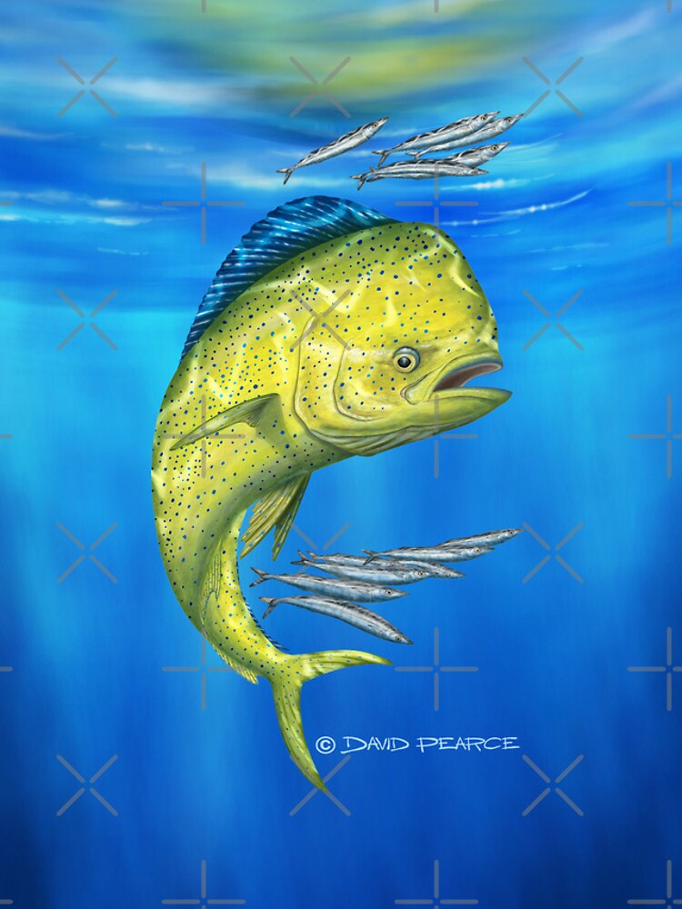 "Mahi Mahi" iPhone Case for Sale by barradingo Redbubble