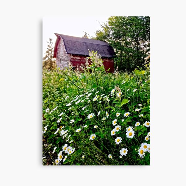 Item preview, Barn designed and sold by Patman61.