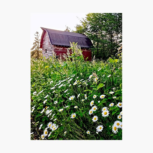 Item preview, Barn designed and sold by Patman61.