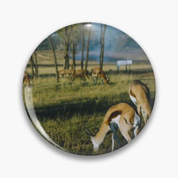Item preview, A group of gazelles eating pasture designed and sold by Carmen Jost.
