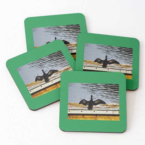 Item preview, Black Cormorant 黑鸬鹚 fanning wings after a swim on Penrith Lakes by Bao-Er designed and sold by Chinaspaces.
