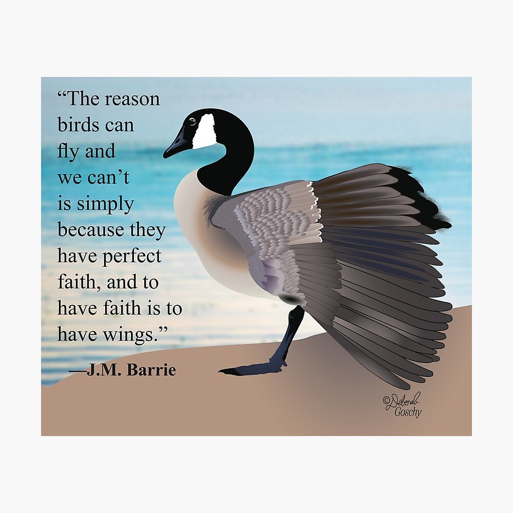 canada goose quote pdf