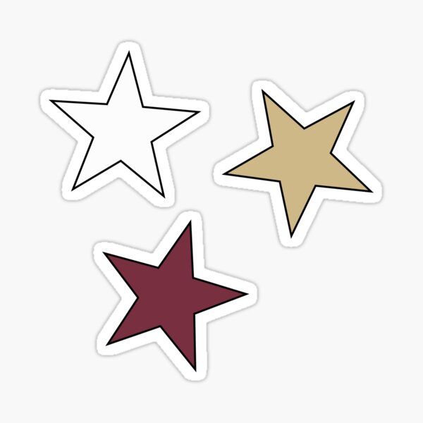 FSU Star (3-Pack) Sticker Sticker