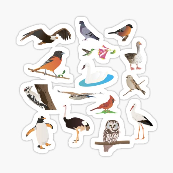 Item preview, Various Birds designed and sold by NorseTech.