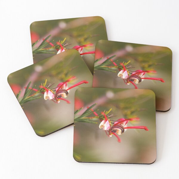 Item preview, Grevillea Rosmarinifolia Flower designed and sold by Joy Watson - Natural Light Photography .