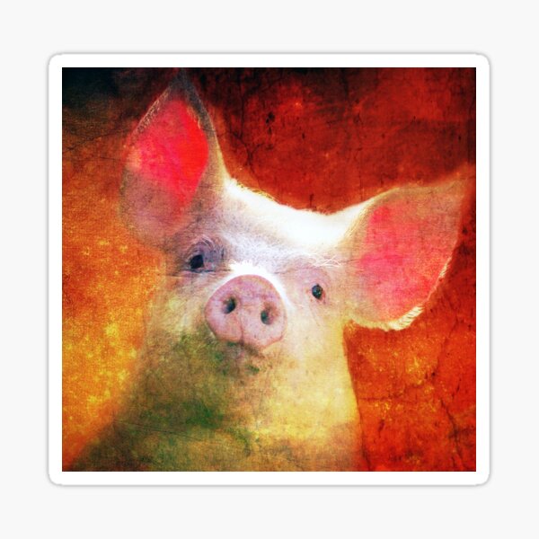 Sunset Piggy Wig Sticker