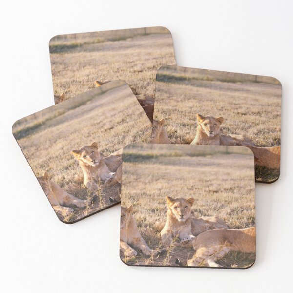 Item preview, Three lion cubs relaxing in the savannah designed and sold by Carmen Jost.