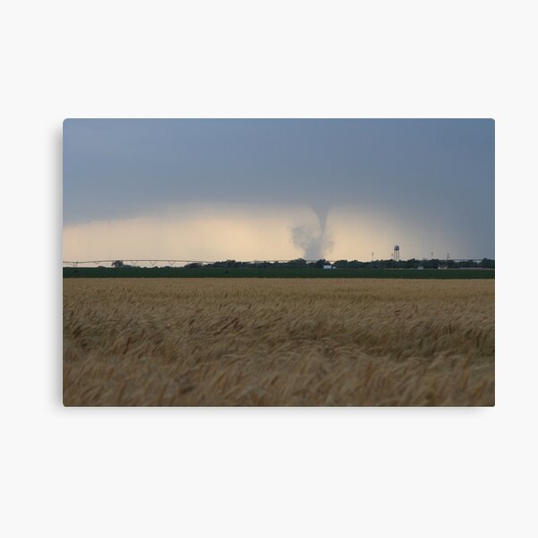 Twisting by the wheat Canvas Print