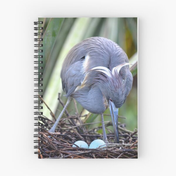 Item preview, Heron Strengthening Her Nest designed and sold by richardbryce.