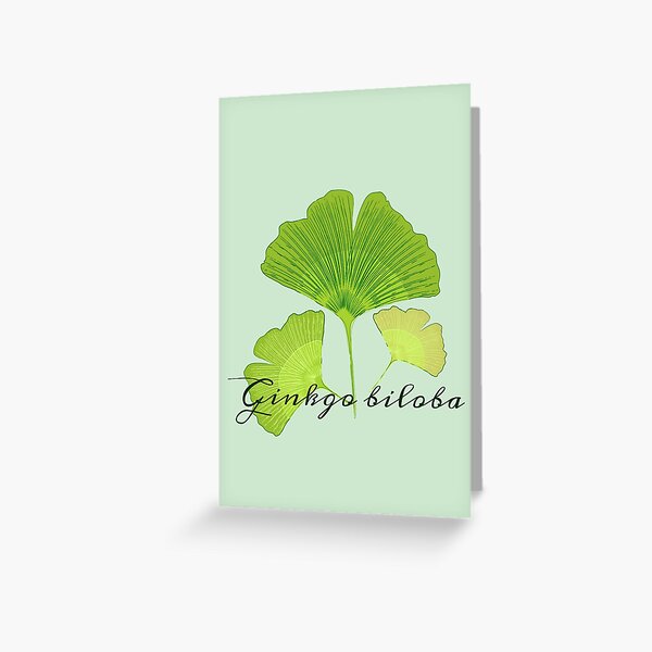 Ginkgo biloba illustration Greeting Card