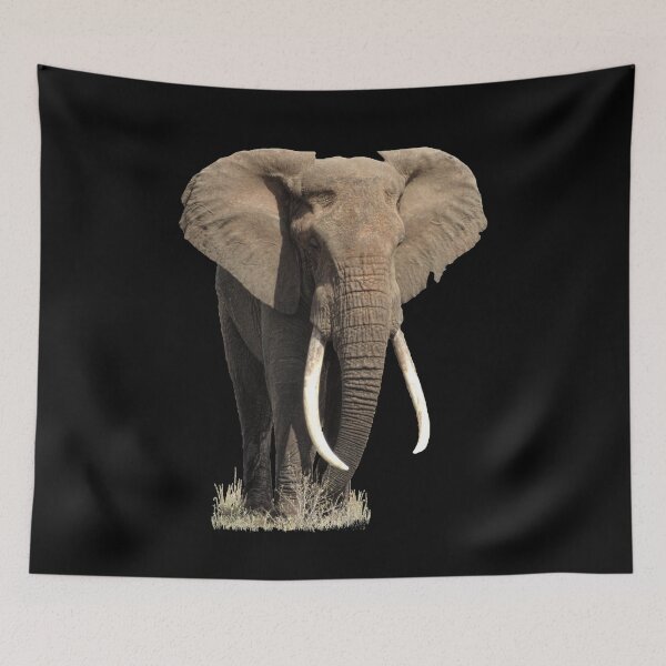 Item preview,  Lions designed and sold by TShirtsundMehr.