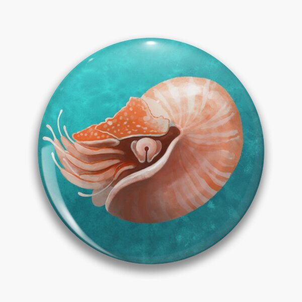 Artikelvorschau, Chambered Nautilus entworfen und verkauft von jfells.