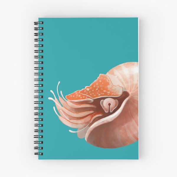 Item preview, Chambered Nautilus designed and sold by jfells.