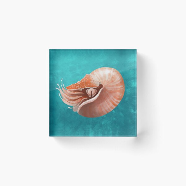 Item preview, Chambered Nautilus designed and sold by jfells.