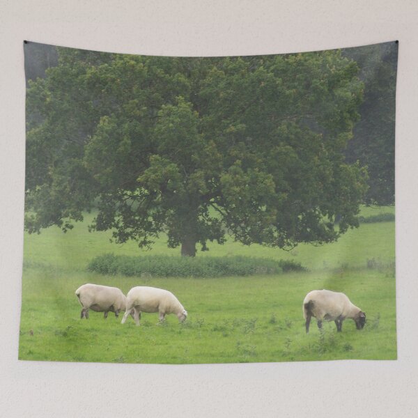 Item preview, Grazing sheep designed and sold by Boscastle.