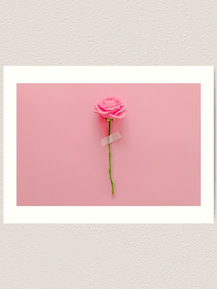 Alternate view of Rose Flower Art Print