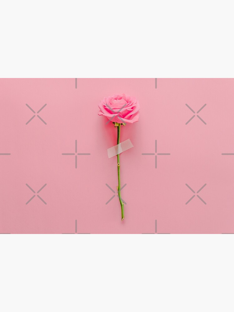 Rose Flower by KatyaHavok