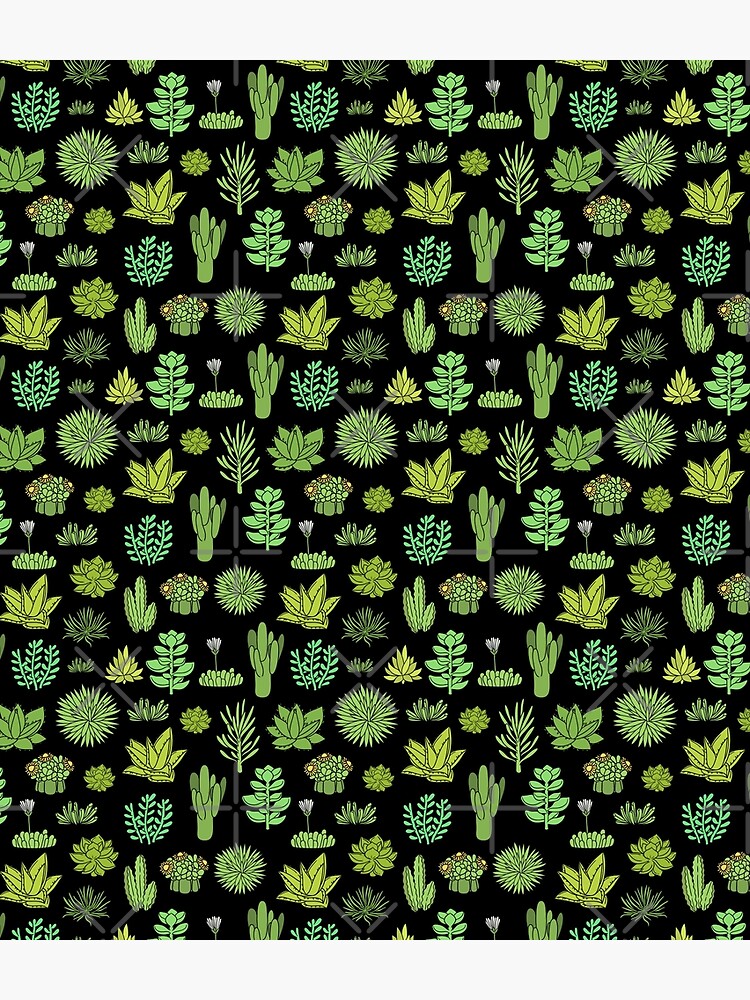 Succulents and cactus. For cacti plant lover by kostolom3000