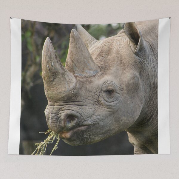 Item preview, Black rhinoceros portrait  designed and sold by KcsArt87.