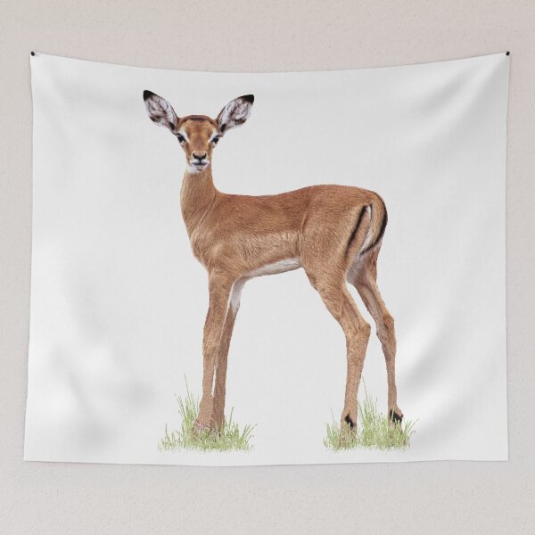 Artikelvorschau, Impala Baby - Antilope - Kenia / Afrika entworfen und verkauft von TShirtsundMehr.