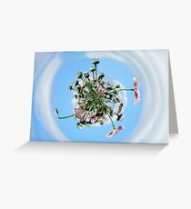 Poppy Orb Greeting Card