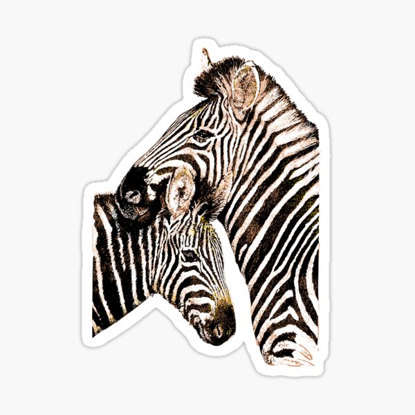 Zebra mother and baby zebra Sticker
