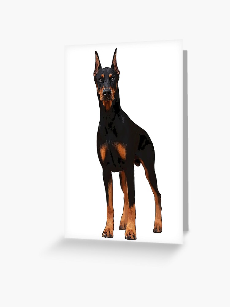 Tarjetas de felicitación « propiedad muchos amantes de mascotas y animales de todo el mundo. El Doberman es perro impresionante en negro como en marrón y marrón. Un gran
