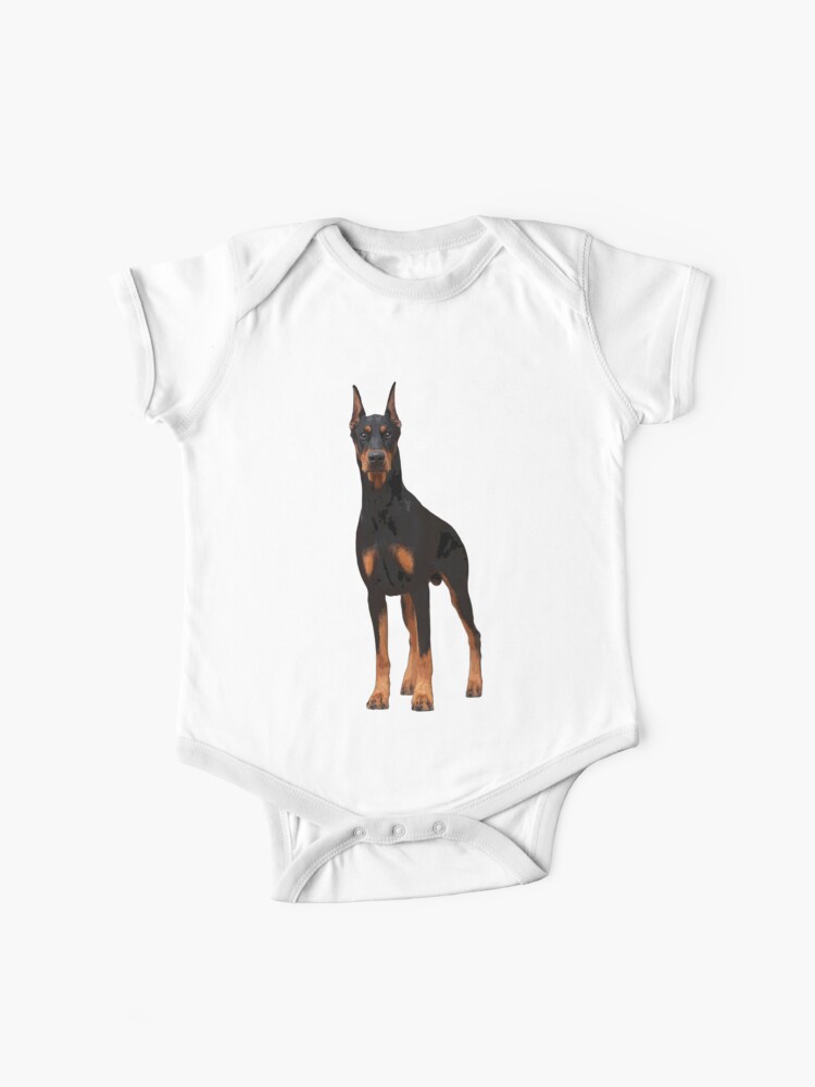short doberman