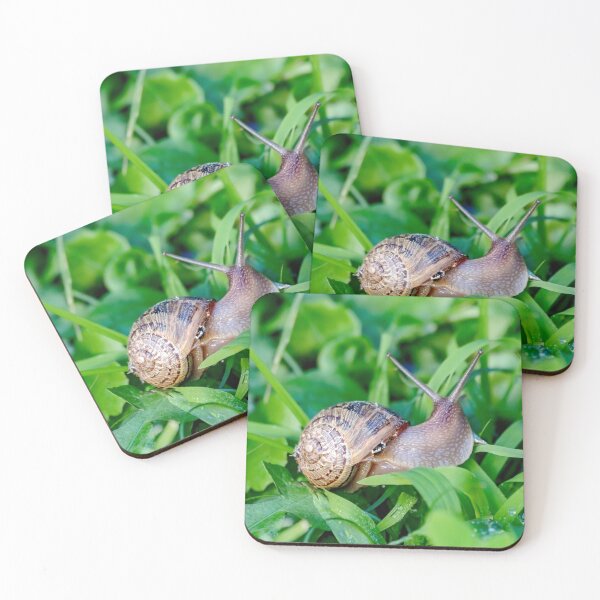 Item preview, Snail on the green leaves designed and sold by yurix.