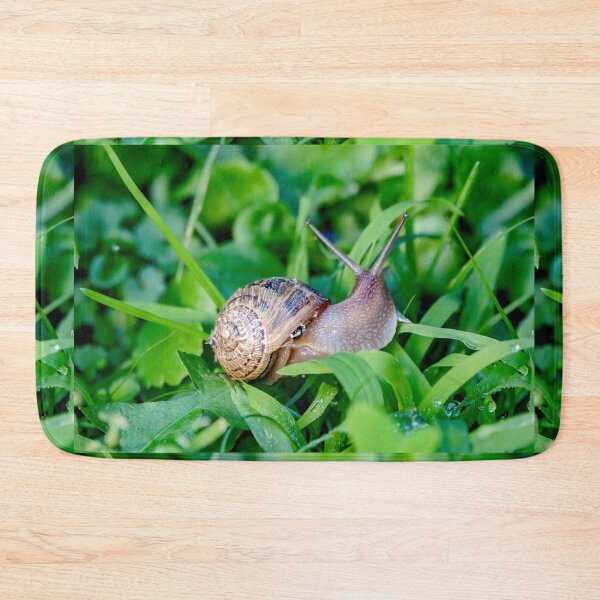 Item preview, Snail on the green leaves designed and sold by yurix.