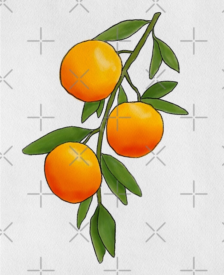 citrus ipad