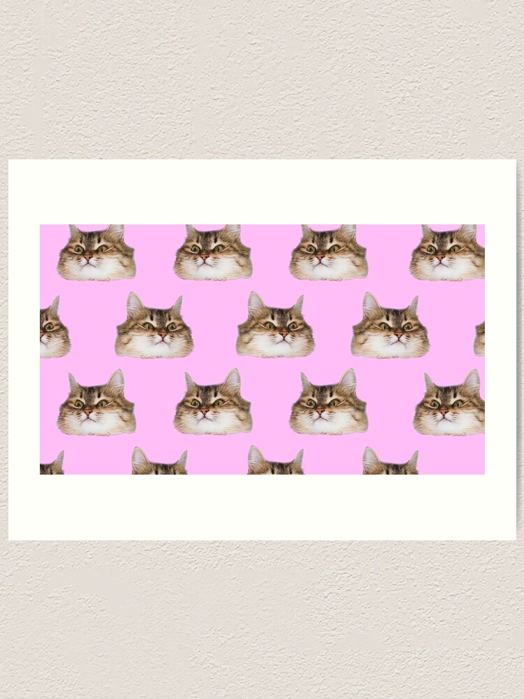 Alternate view of Funny cat's heads on pink Art Print