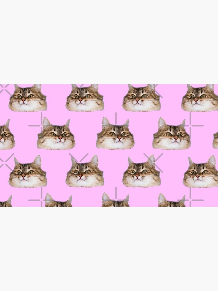Funny cat's heads on pink by KatyaHavok