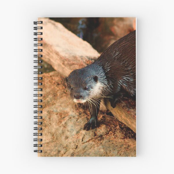 Item preview, Little Otter Guy designed and sold by mokacat.