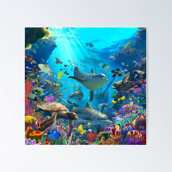 Dolphin Playground Poster