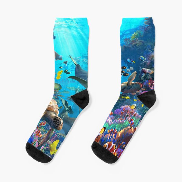 Dolphin Playground Socks