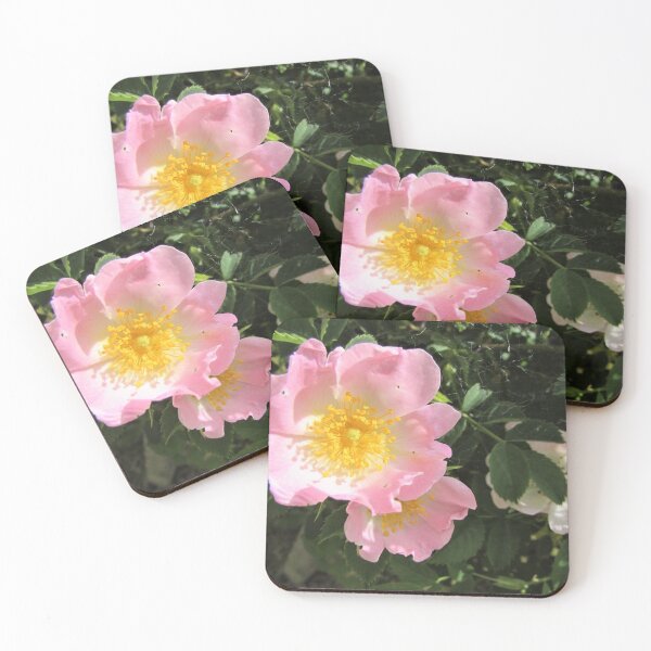 Item preview, Beautiful Pink Dog Rose designed and sold by GoNatureDesigns.