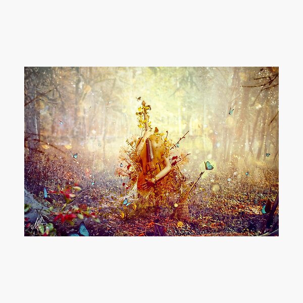 Silence Photographic Print