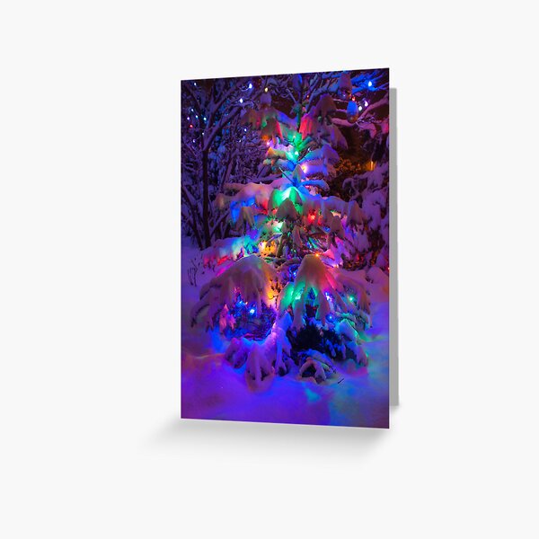 Colored lights on a snowy pine tree Greeting Card
