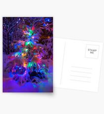 Colored lights on a snowy pine tree Postcards
