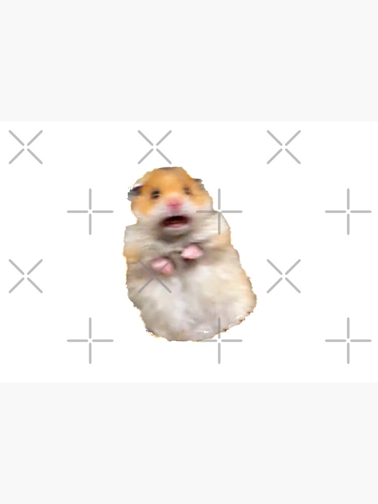 Screaming Hamster Meme by Luna7