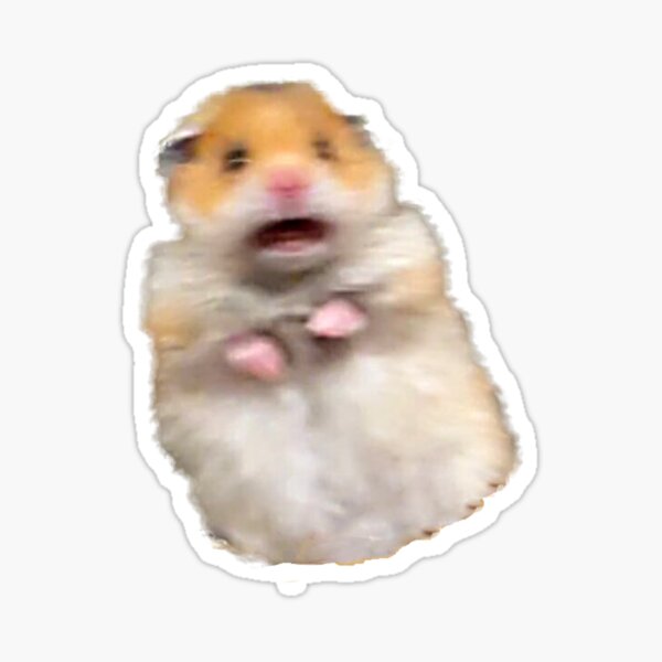 Screaming Hamster Meme Sticker By Luna7 Redbubble