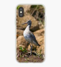 Willet iPhone Case