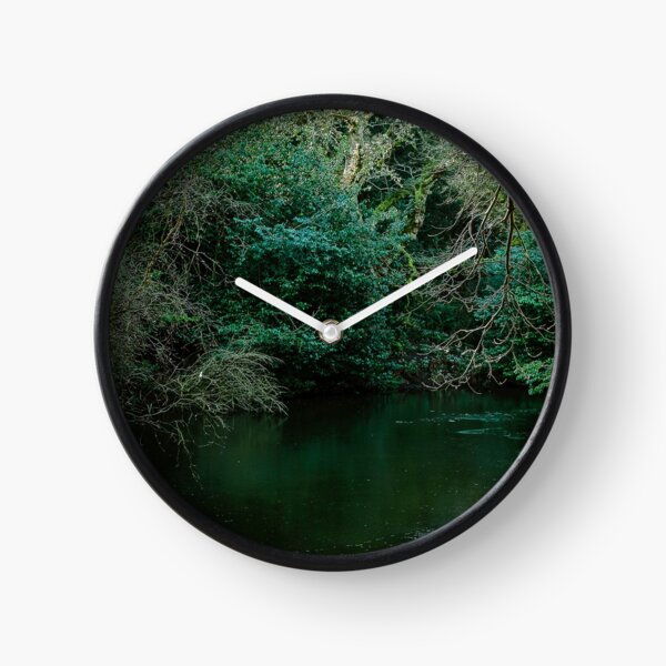 Green woodland lake, East Lothian Clock