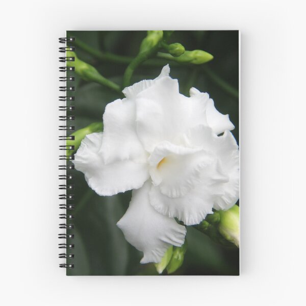 Item preview, White Bud designed and sold by redbubbledave22.