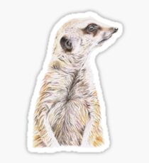 Colour Meerkat Sticker