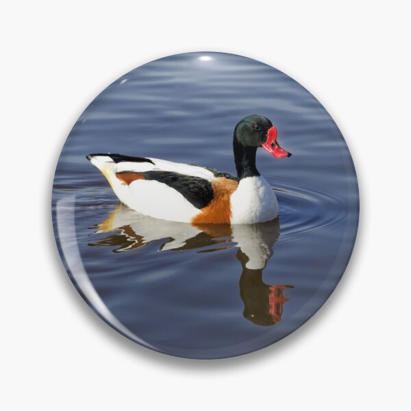 Item preview, Common Shelduck designed and sold by Andy Harker.