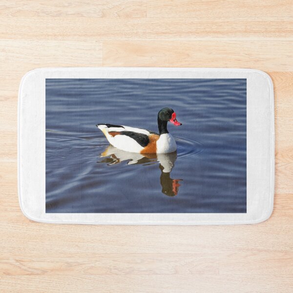 Item preview, Common Shelduck designed and sold by Andy Harker.