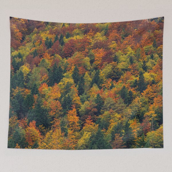 Item preview, Stunning autumn forest designed and sold by Patrik Lovrin.